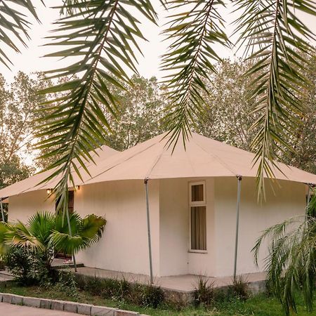 Clarks Safari Ranthambore Khilchīpur エクステリア 写真