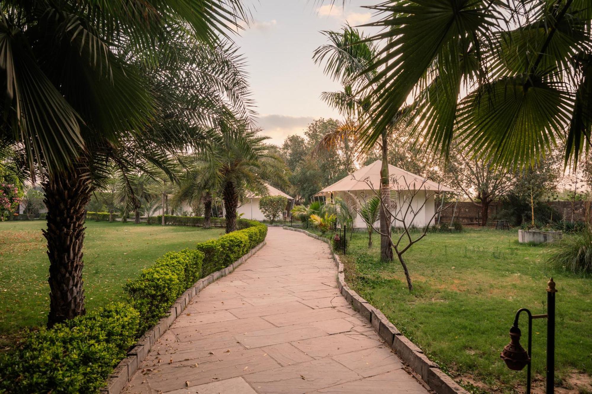 Clarks Safari Ranthambore Khilchīpur エクステリア 写真